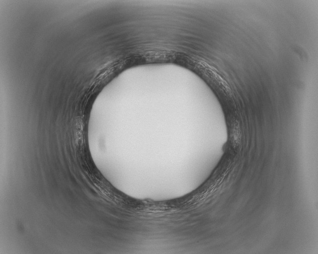 X0000115690964200912101150