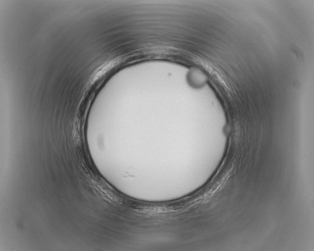 X0000115690970200912101150
