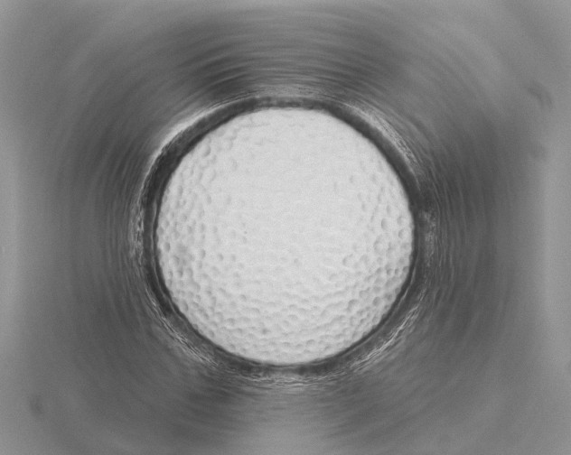 X0000115690971200912101150