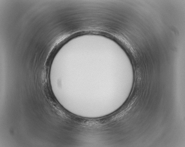 X0000115690974200912101150