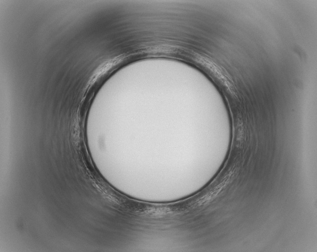 X0000115690978200912101150