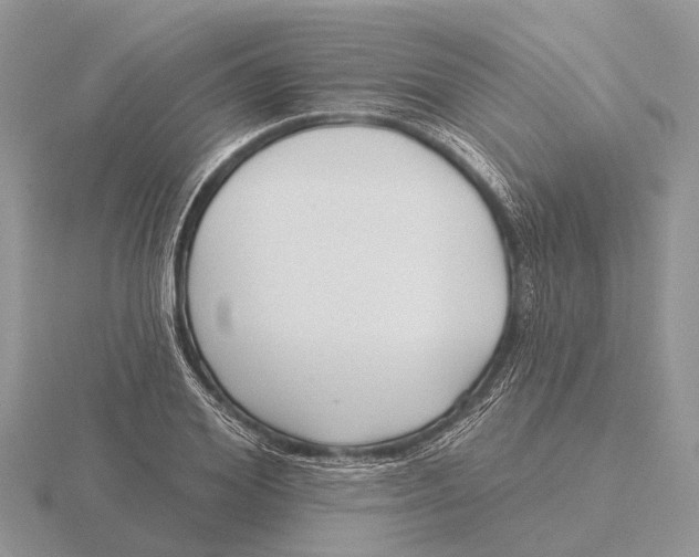 X0000115690980200912101150