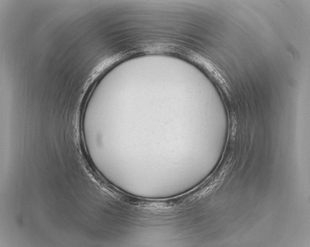 X0000115690986200912101150