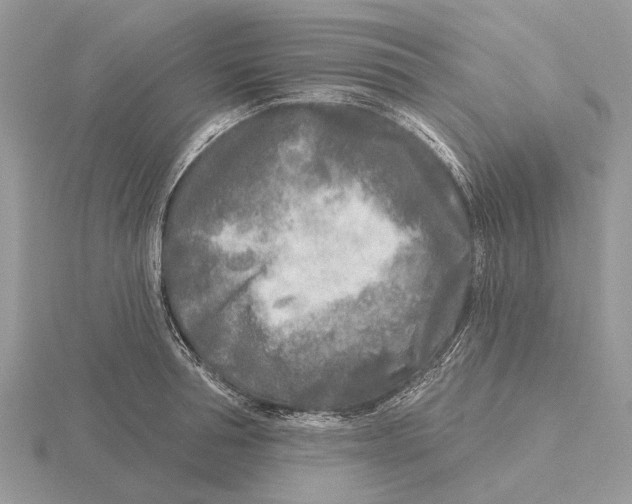 X0000115690994200912101150