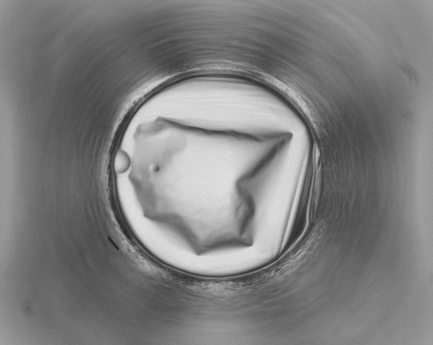 X0000115690995200912101150
