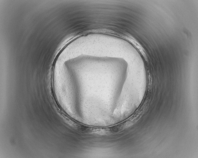 X0000115691002200912101150
