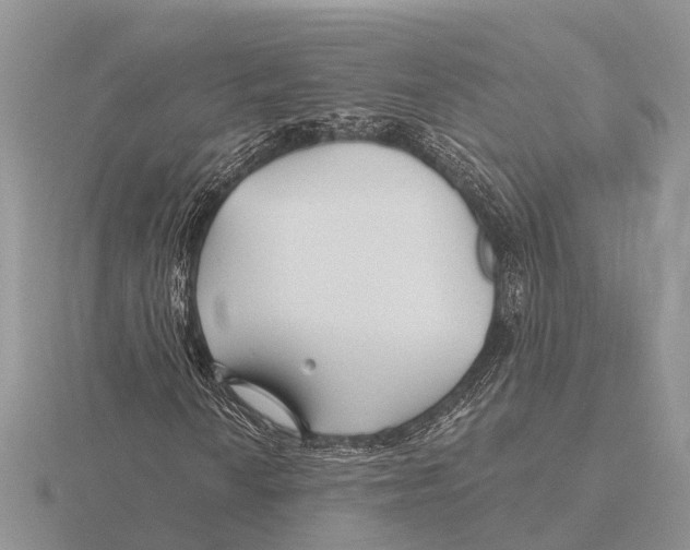 X0000115691010200912101149