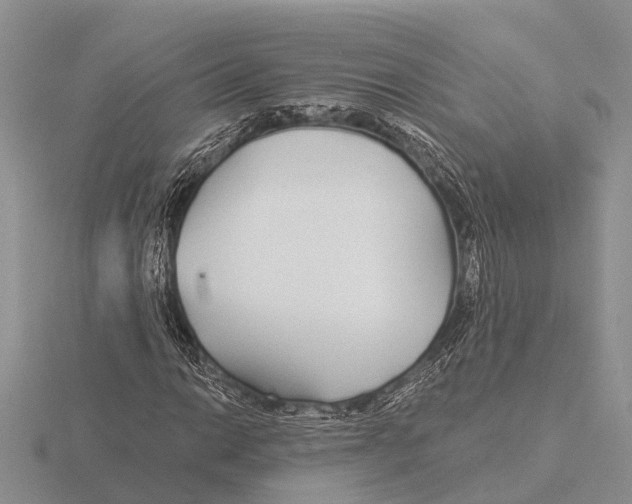 X0000115691014200912101149