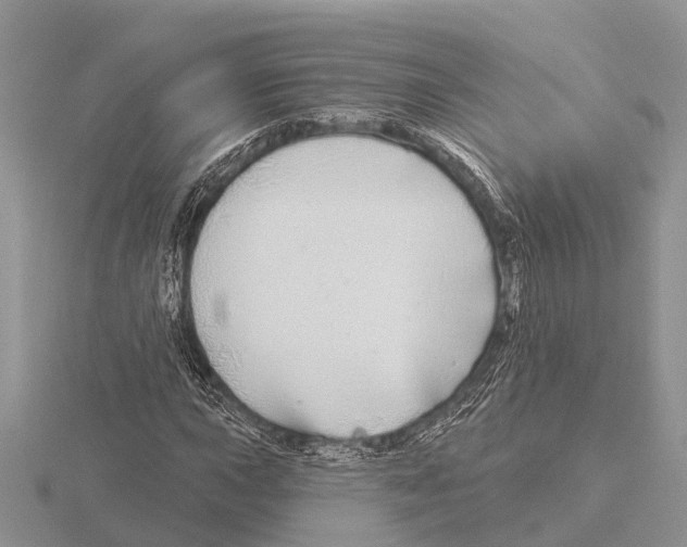 X0000115691015200912101149