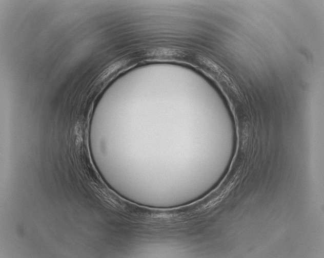 X0000115691017200912101149