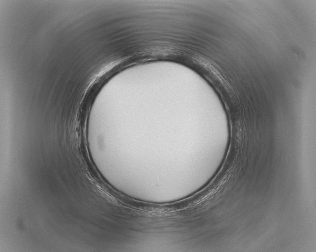 X0000115691018200912101149