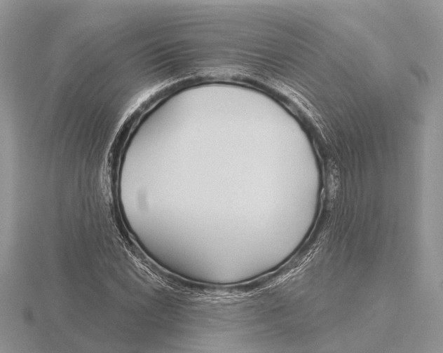 X0000115691022200912101149