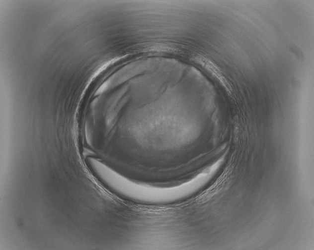 X0000115691024200912101149