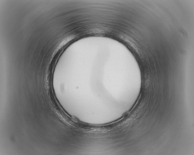 X0000115691026200912101149