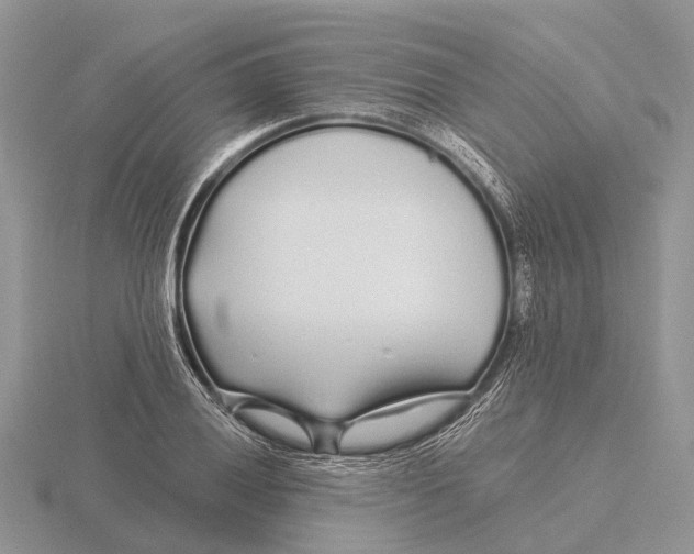 X0000115691028200912101149