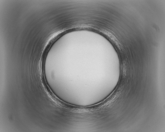 X0000115691030200912101149