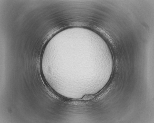 X0000115691033200912101149
