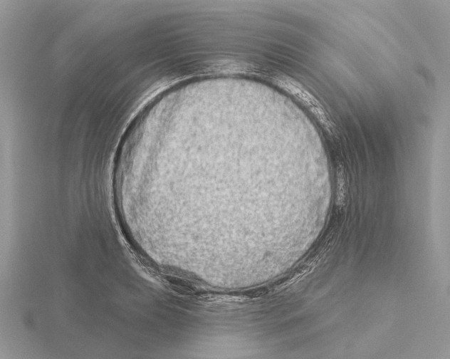 X0000115691039200912101149