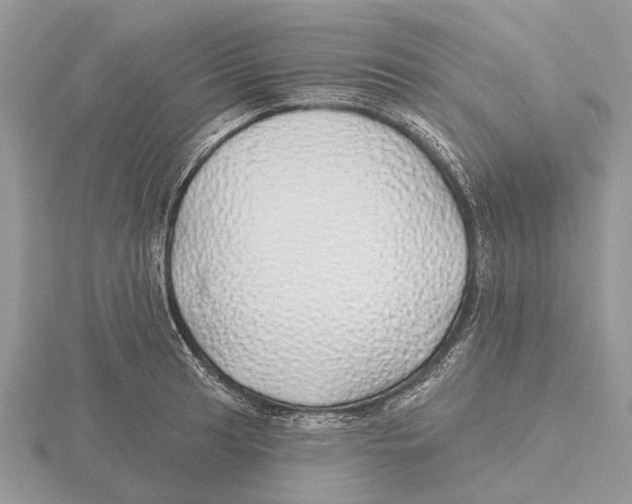 X0000115691041200912101149