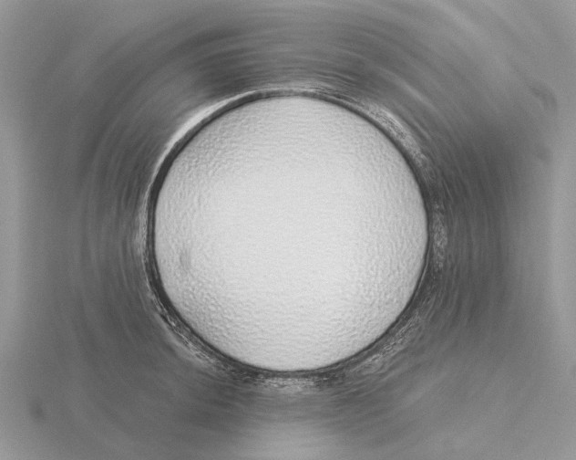 X0000115691044200912101149