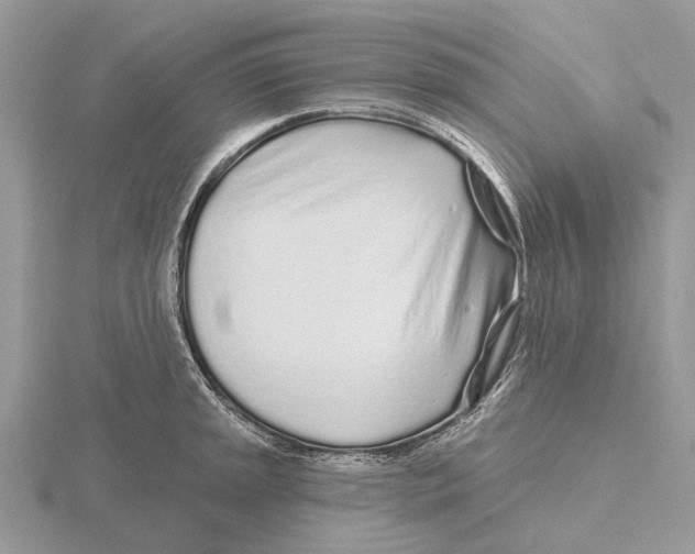 X0000115691045200912101149