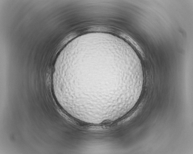 X0000115691049200912101149