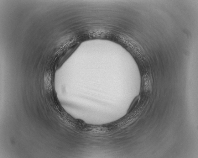 X0000115691060200912101149