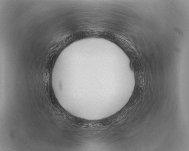 X0000115691061200912101149