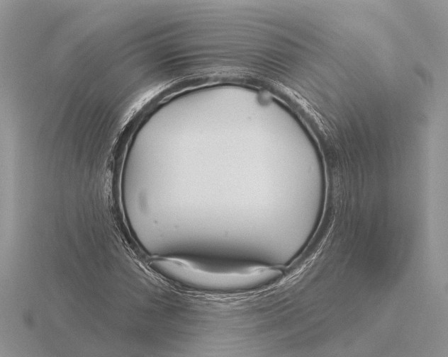 X0000115691066200912101149