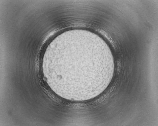 X0000115691067200912101149