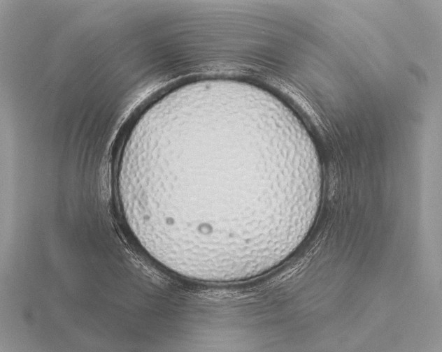 X0000115691075200912101149