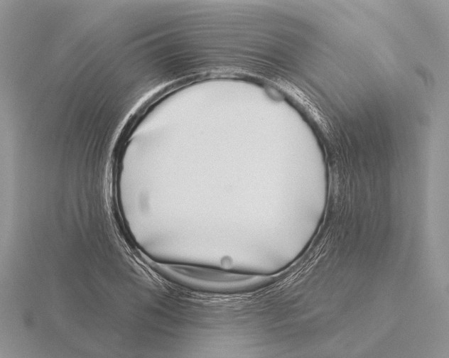 X0000115691076200912101149