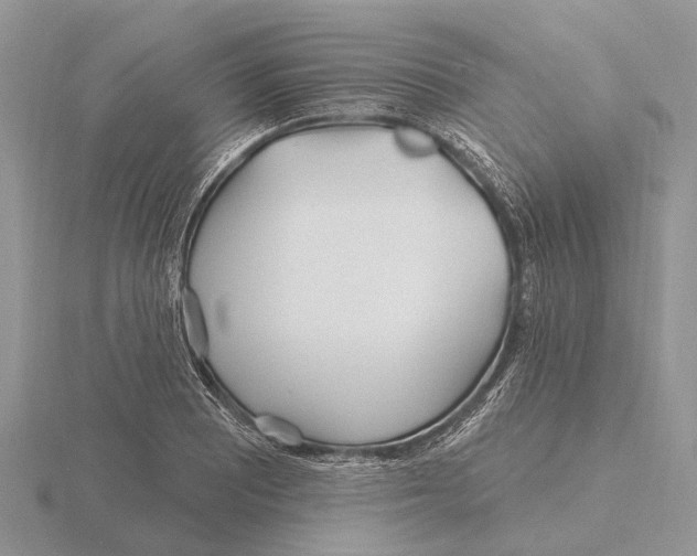 X0000115691081200912101149