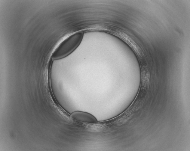 X0000115691092200912101149