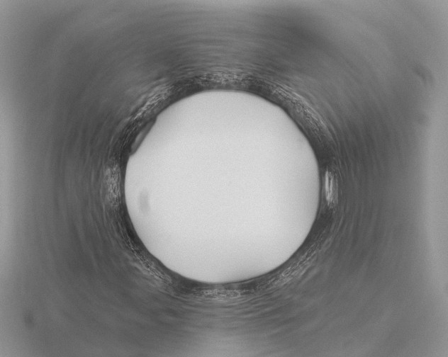 X0000115691107200912101148