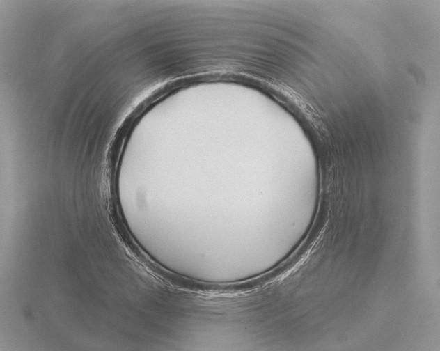 X0000115691118200912101148