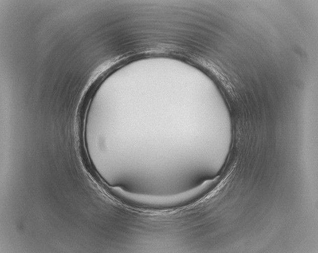 X0000115691122200912101148
