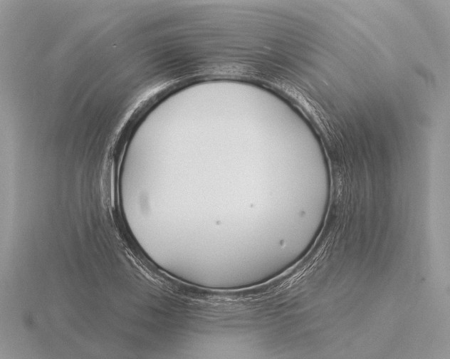 X0000115691123200912101148