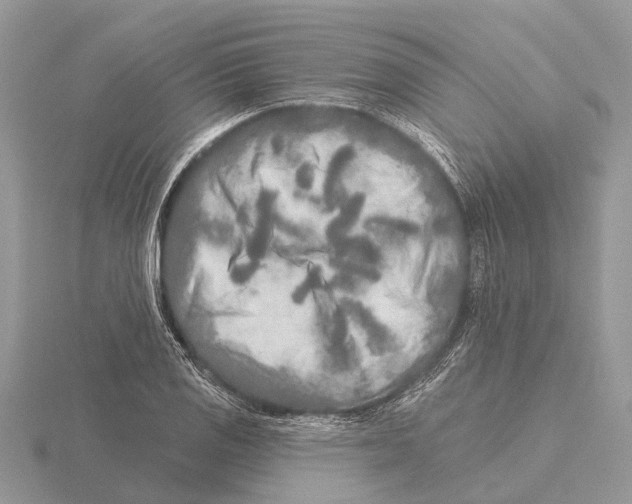 X0000115691125200912101148