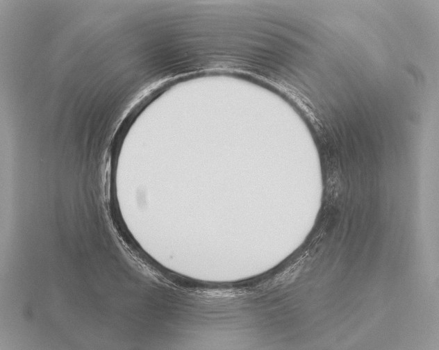 X0000115691126200912101148