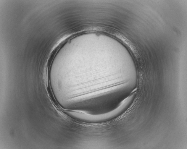 X0000115691127200912101148