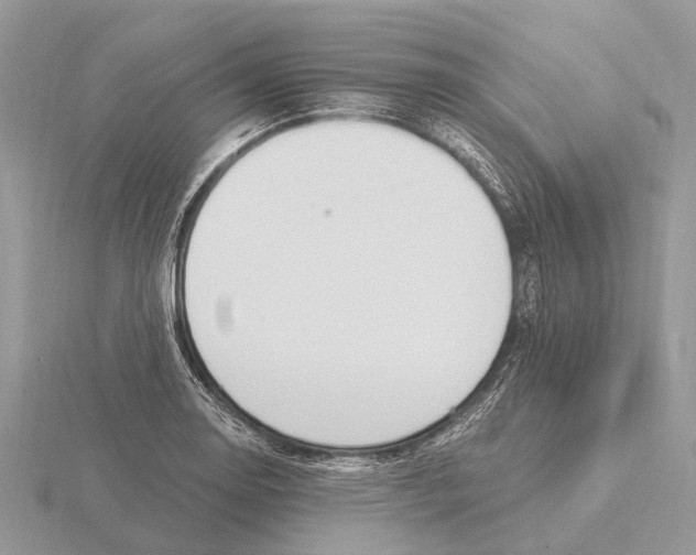 X0000115691130200912101148