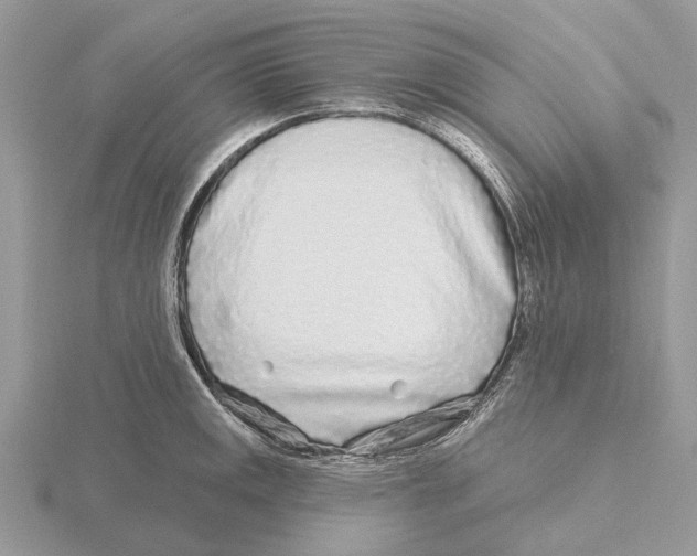 X0000115691141200912101148