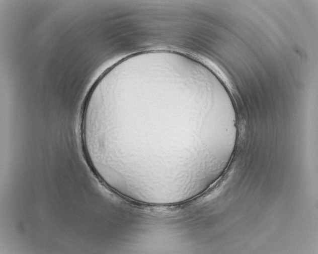 X0000115691149200912101148