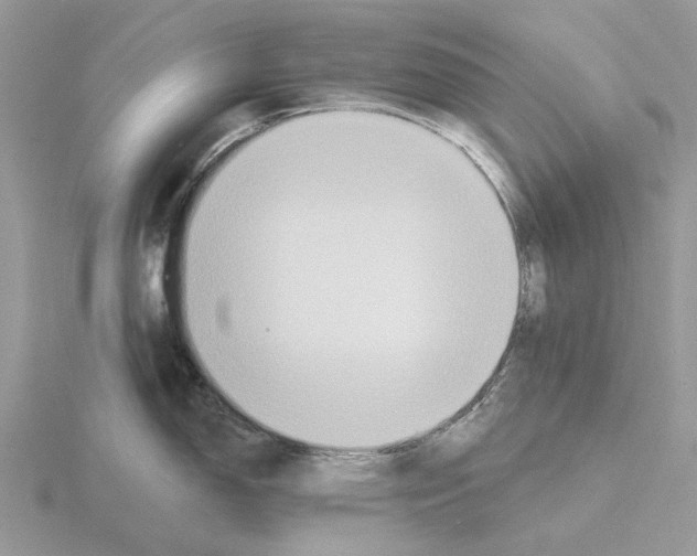 X0000115691150200912101148