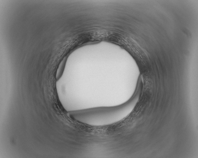 X0000115691153200912101148
