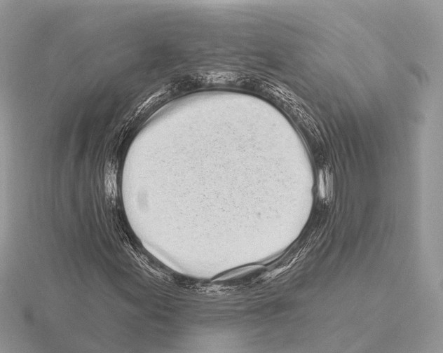 X0000115691155200912101148