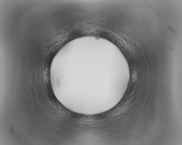 X0000115691156200912101148