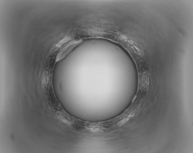 X0000115691157200912101148