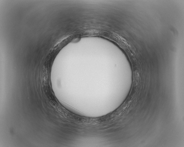X0000115691158200912101148